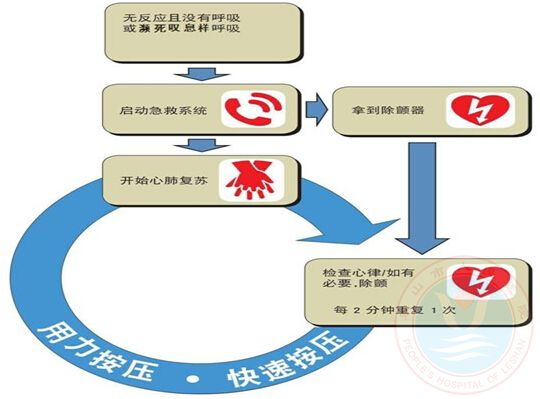 徒手心肺复苏术(cpr)