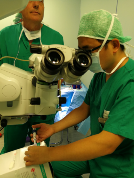 意大利眼科怎么样意大利托斯卡纳研修报告_https://www.jmylbn.com_新闻资讯_第6张