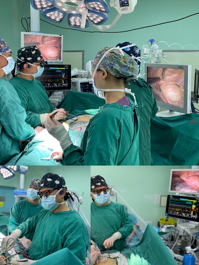 关于全胸腔镜下二尖瓣置换手术您了解多少