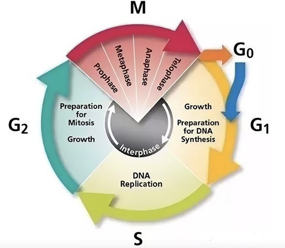 截屏2023-08-30 下午9.58.46.png