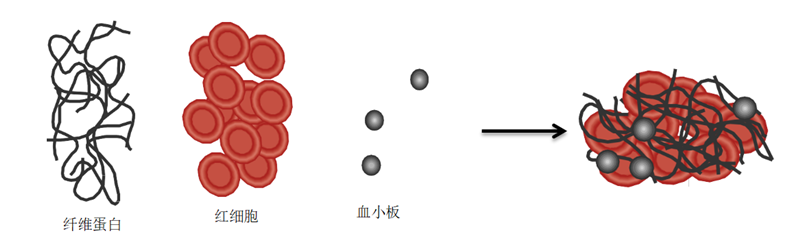 2_副本.png 2_副本.png