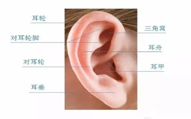 zhengchang.jpg