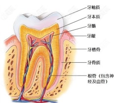 图片1.jpg 图片1.jpg