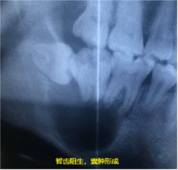 图片2.jpg 图片2.jpg