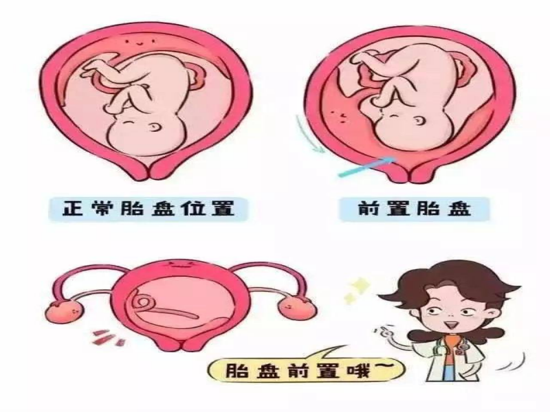 图片1(1).png