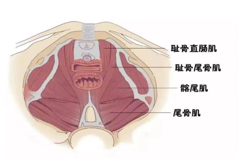 图片1(1).png