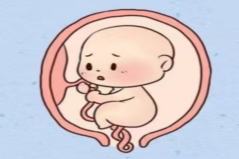 图片3(1).png 图片3(1).png