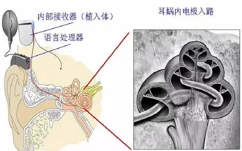 222.jpg 222.jpg