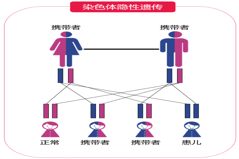 图片1(1).png 图片1(1).png