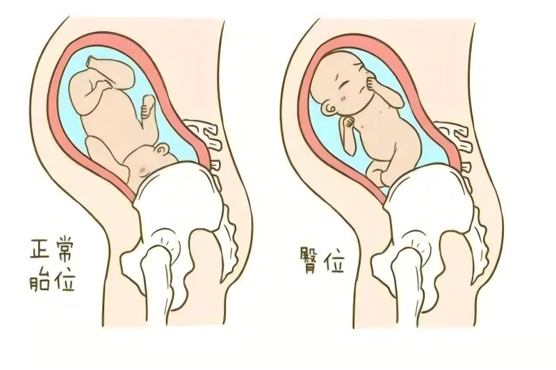 图片1(1).png 图片1(1).png