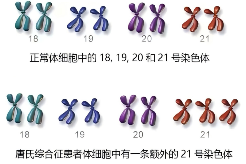 图片1(1).png 图片1(1).png