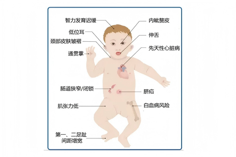 图片2(1).png 图片2(1).png