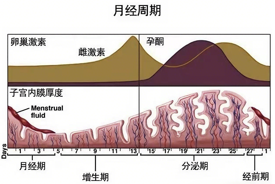 截屏2025-11-17 21.20.00.png