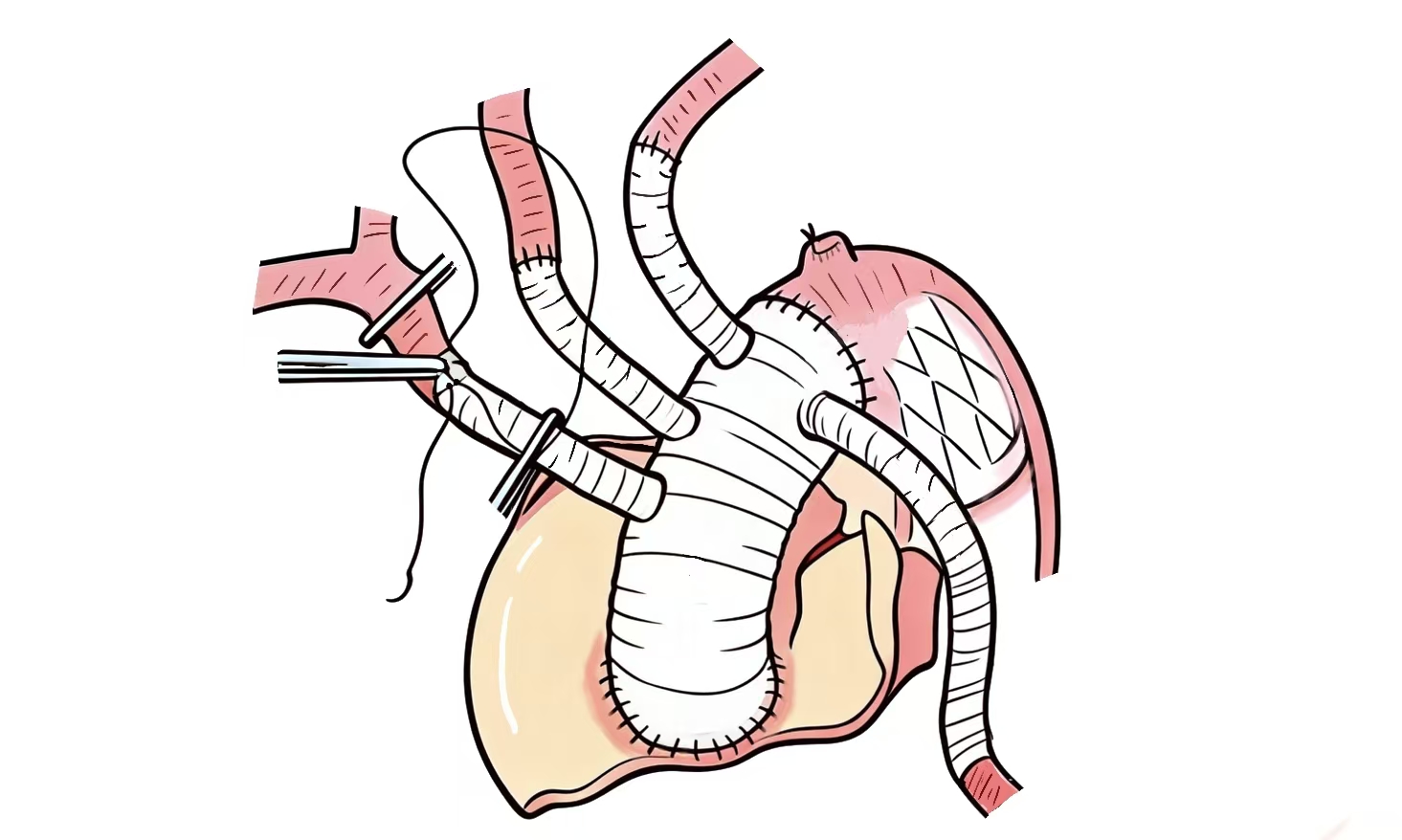 宣传2微信图片_20251211232959_16_143.jpg 宣传2微信图片_20251211232959_16_143.jpg
