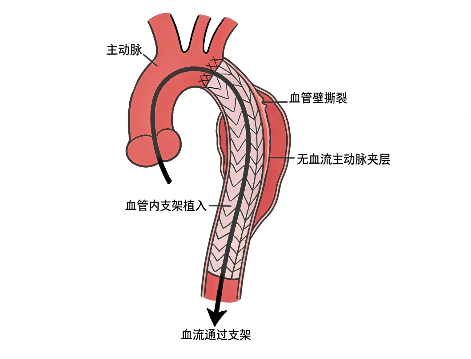 宣传3微信图片_20251211233139_17_143.jpg 宣传3微信图片_20251211233139_17_143.jpg
