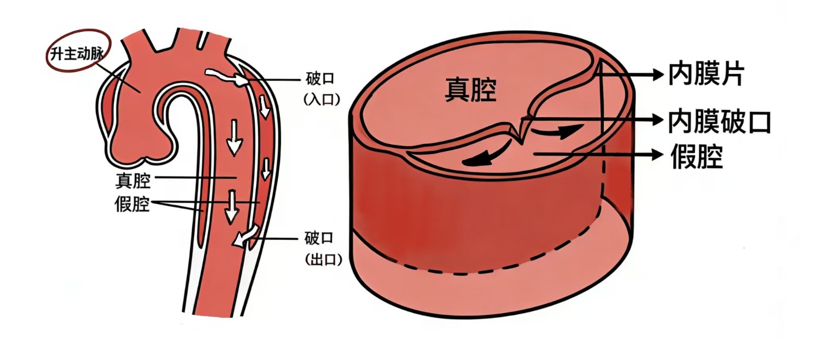 宣传1微信图片_20251211233256_18_143.jpg 宣传1微信图片_20251211233256_18_143.jpg