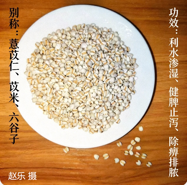 图片9.png 图片9.png