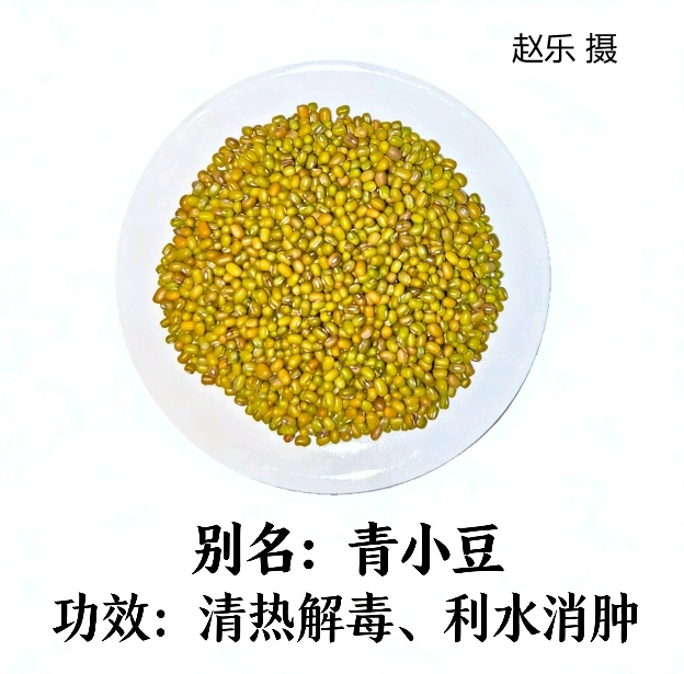 图片10.png 图片10.png